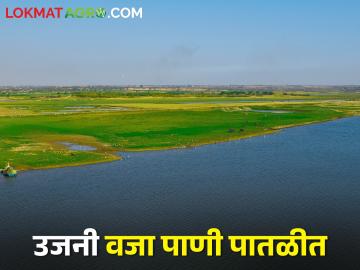 उन्हाळ्याच्या सुरुवातीलाच उजनी धरणाने गाठला तळ; किती पाणी शिल्लक - Marathi News | The Ujani dam decrease water level in minus start of summer; How much water is left? | Latest News at Lokmat.com