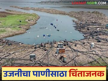 Ujani Dam : उजनी धरणाचा पाणीसाठा झपाट्याने होतोय कमी; उपयुक्त शिल्लक पाणीसाठा किती? - Marathi News | Ujani Dam : The water storage of Ujani Dam is rapidly decreasing; What is the useful remaining water storage? | Latest News at Lokmat.com