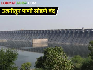 उजनी धरणात शिल्लक पाण्याचे कसे असेल नियोजन - Marathi News | How will the water remaining in Ujani Dam be planned? | Latest News at Lokmat.com