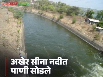 Ujani Dam : उजनी धरणातून कुरुल शाखेद्वारे अखेर सीना नदीत पाणी सोडले - Marathi News | Ujani Dam : Water finally released into Sina River through Kurul branch from Ujani Dam | Latest News at Lokmat.com Ujani Dam : उजनी धरणातून कुरुल शाखेद्वारे अखेर सीना नदीत पाणी सोडले - Marathi News | Ujani Dam : Water finally released into Sina River through Kurul branch from Ujani Dam | Latest News at Lokmat.com