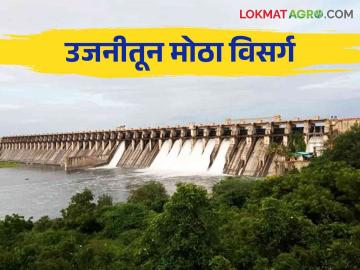 Ujani Dam Water Level : उजनीतून आठ दिवसांत सोडले ३० टीएमसी पाणी धरणात किती पाणीसाठा - Marathi News | Ujani Dam Water Level: 30 TMC of water released from Ujani in eight days how much water in storage | Latest News at Lokmat.com Ujani Dam Water Level : उजनीतून आठ दिवसांत सोडले ३० टीएमसी पाणी धरणात किती पाणीसाठा - Marathi News | Ujani Dam Water Level: 30 TMC of water released from Ujani in eight days how much water in storage | Latest News at Lokmat.com
