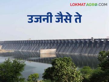 Ujani Dam उजनी क्षेत्रात पाऊस ओसरला, धरणाची पाणीपातळी कुठपर्यंत - Marathi News | Ujani Dam: Rain has decreased in Ujani area, how far is the water level of the dam | Latest News at Lokmat.com