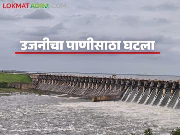 उजनी धरणात आजमितीला किती पाणीसाठा? यंदा उन्हाळ्यात पाणीटंचाई जाणवणार का? - Marathi News | How much water is currently stored in Ujani Dam? Will there be a water shortage this summer? | Latest News at Lokmat.com