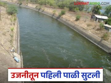 Ujani Dam : उजनी धरणातून उन्हाळी हंगामातील पहिल्या पाळीचे पाणी सोडले? धरणात आता किती पाणीसाठा? - Marathi News | Ujani Dam: Has the first batch of water of the summer season been released from Ujani Dam? How much water is stored now in the dam? | Latest News at Lokmat.com Ujani Dam : उजनी धरणातून उन्हाळी हंगामातील पहिल्या पाळीचे पाणी सोडले? धरणात आता किती पाणीसाठा? - Marathi News | Ujani Dam: Has the first batch of water of the summer season been released from Ujani Dam? How much water is stored now in the dam? | Latest News at Lokmat.com