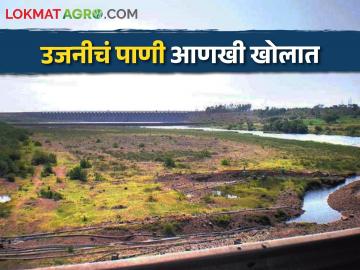 Ujani Dam इतिहास घडला; 'उजनी'चा साठा उणे इतक्या टक्क्यांवर आला - Marathi News | History happened; 'Ujani' Water stock fell to minus percent, agriculture in trouble | Latest News at Lokmat.com