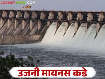 Uajni Dam Water : २० एप्रिलनंतर उजनी मृत साठ्यात जाण्याची शक्यता; धरणात उरला किती पाणीसाठा? - Marathi News | Uajni Dam Water : Uajni likely to go into minus water storage after April 20; How much water is left in the dam? | Latest News at Lokmat.com Uajni Dam Water : २० एप्रिलनंतर उजनी मृत साठ्यात जाण्याची शक्यता; धरणात उरला किती पाणीसाठा? - Marathi News | Uajni Dam Water : Uajni likely to go into minus water storage after April 20; How much water is left in the dam? | Latest News at Lokmat.com