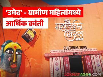 जिद्दीला मिळाली 'उमेद'ची साथ, हजारो महिला बनल्या स्वावलंबी, असा आहे संपूर्ण प्रवास  - Marathi News | latest news Jiddi got the support of 'Umed', thousands of women became self-reliant | Latest News at Lokmat.com