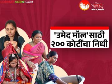 बचत गटांना आता हक्काची बाजारपेठ; राज्यात १० जिल्ह्यांमध्ये 'उमेद मॉल' उभारण्यास मंत्रिमंडळाची मंजुरी - Marathi News | Self-help groups now have a proper market; Cabinet approves setting up 'Umed Mall' in 10 districts of the state | Latest News at Lokmat.com