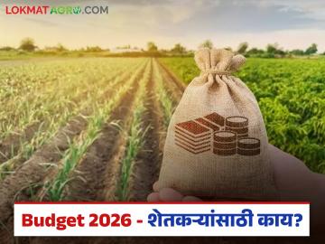 Agriculture Budget 2026: केंद्रानं तिजोरी उघडली, यंदाच्या केंद्रीय अर्थसंकल्पातून शेतकऱ्यांना काय मिळालं? - Marathi News | Latest News union Budget 2026 modi government these major announcements for farmers | Latest News at Lokmat.com