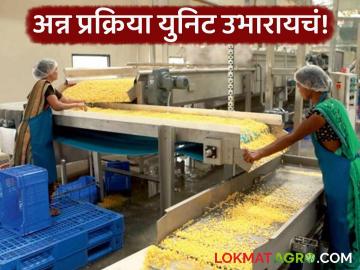 Food Processing Unit : अन्न प्रक्रिया युनिट उभारायचंय, आधी 'या' गोष्टी लक्षात ठेवा, वाचा सविस्तर - Marathi News | Latest News keep these things in mind first for set up food processing unit read in detail | Latest News at Lokmat.com Food Processing Unit : अन्न प्रक्रिया युनिट उभारायचंय, आधी 'या' गोष्टी लक्षात ठेवा, वाचा सविस्तर - Marathi News | Latest News keep these things in mind first for set up food processing unit read in detail | Latest News at Lokmat.com
