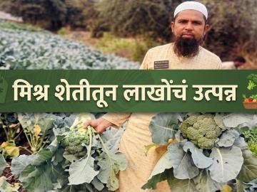 बारा एकर क्षेत्रावर मिश्र शेतीचा अवलंब, नियोजनबद्ध शेतीतून वर्षाकाठी आठ लाखांचे उत्पन्न - Marathi News | Latest news Adoption of various cropping systems on twelve acres of land, annual income of eight lakhs | Latest News at Lokmat.com बारा एकर क्षेत्रावर मिश्र शेतीचा अवलंब, नियोजनबद्ध शेतीतून वर्षाकाठी आठ लाखांचे उत्पन्न - Marathi News | Latest news Adoption of various cropping systems on twelve acres of land, annual income of eight lakhs | Latest News at Lokmat.com