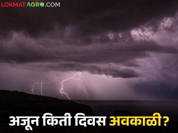 Maharashtra Weather Update : चक्रीय वारे आणि कमी दाबाच्या पट्ट्याचा परिणाम; अजून किती दिवस अवकाळीचे? - Marathi News | Maharashtra Weather Update : Effects of cyclonic winds and low pressure belt; How many more days of unseasonal weather? | Latest News at Lokmat.com Maharashtra Weather Update : चक्रीय वारे आणि कमी दाबाच्या पट्ट्याचा परिणाम; अजून किती दिवस अवकाळीचे? - Marathi News | Maharashtra Weather Update : Effects of cyclonic winds and low pressure belt; How many more days of unseasonal weather? | Latest News at Lokmat.com