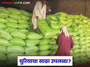 तुमच्या जिल्ह्यात कोणत्या कृषी केंद्राकडे युरिया उपलब्ध आहे, असं पहा एका क्लिकवर  - Marathi News | Latest News Check which agricultural centers in your district have urea available with one click. | Latest News at Lokmat.com