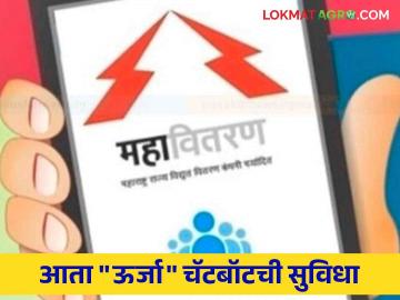 Mahavitaran Chatbot : रात्री अचानक वीज गायब; एका क्लिकवर झटपट सेवा मिळणार कशी वाचा सविस्तर - Marathi News | Mahavitaran Chatbot : Sudden power outage at night; Read in detail how to get instant service with one click | Latest News at Lokmat.com