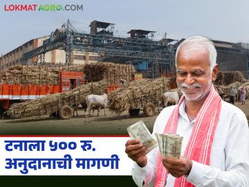एफआरपीनुसार उसाची बिले देण्यासाठी प्रतिटन ५०० रुपये अनुदान मिळणार? काय होणार निर्णय? - Marathi News | Will there be a subsidy of Rs 500 per tonne for paying sugarcane bills as per FRP? What will be the decision? | Latest News at Lokmat.com