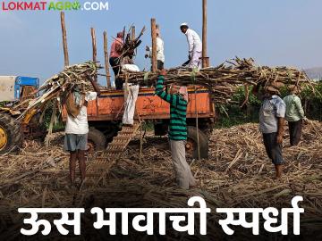 नगर जिल्ह्यात ऊस भावासाठी कारखान्यांत लागली स्पर्धा; शेतकऱ्यांचा होणार फायदा - Marathi News | Competition among factories for sugarcane prices in Nagar district; Farmers will benefit | Latest News at Lokmat.com