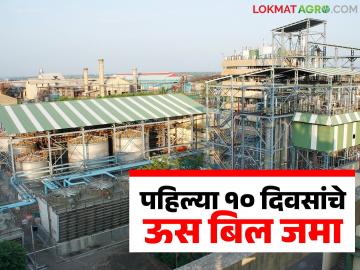 सोलापूर जिल्ह्यातील 'या' सात साखर कारखान्यांनी पहिल्या १० दिवसांचे ऊस बिल केले जमा - Marathi News | These seven sugar factories in Solapur district have deposited sugarcane bills for the first 10 days | Latest News at Lokmat.com सोलापूर जिल्ह्यातील 'या' सात साखर कारखान्यांनी पहिल्या १० दिवसांचे ऊस बिल केले जमा - Marathi News | These seven sugar factories in Solapur district have deposited sugarcane bills for the first 10 days | Latest News at Lokmat.com