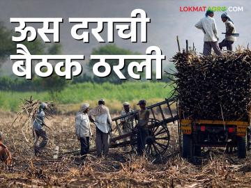 Sugarcane FRP 2024-25 : यंदाचा ऊस दर ठरणार; साखर आयुक्तांबरोबर बैठक होणार - Marathi News | Sugarcane FRP 2024-25 : This year's sugarcane rate will be fixed; A meeting will be held with the sugar commissioner | Latest News at Lokmat.com