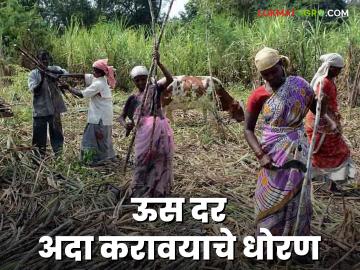 Sugarcane FRP : साखर कारखान्यांनी ऊस दर अदा करण्याबाबत महत्वाचा निर्णय, वाचा सविस्तर  - Marathi News | Latest News Sugarcane FRP Important decision regarding payment of sugarcane rates by sugar factories, read in detail | Latest News at Lokmat.com