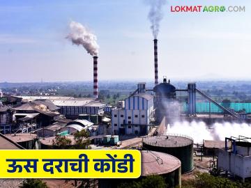 पुणे जिल्ह्यात १८ पैकी १४ साखर कारखाने सुरु; सर्वाधिक गाळप व सर्वाधिक साखर उतारा कुणाचा? - Marathi News | 14 out of 18 sugar factories are operational in Pune district; Who has the highest crushing and highest sugar extraction? | Latest News at Lokmat.com