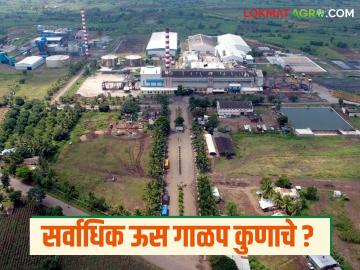 Us Galap : सर्वाधिक उसाचे गाळप करत साखर उत्पादनात अग्रेसर ठरला हा कारखाना - Marathi News | Us Galap : This factory became the leader in sugar production by crushing the most sugarcane. | Latest News at Lokmat.com