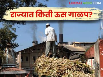 राज्यात १९९ साखर कारखान्यांनी किती केले ऊस गाळप? किती साखर उत्पादन? - Marathi News | How much sugarcane was crushed by 199 sugar factories in the state? How much sugar was produced? | Latest News at Lokmat.com