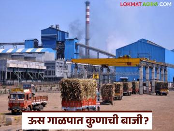 राज्यात १७४ साखर कारखाने सुरू; कोणत्या जिल्ह्यात सर्वाधिक गाळप? यंदा साखर उताऱ्यात कोण पुढे? - Marathi News | 174 sugar factories are operating in the state; Which district has the highest crushing? Who is ahead in sugar production? | Latest News at Lokmat.com