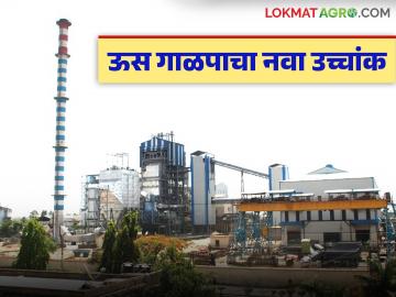 अखंड पाच महिने क्रशिंग करून 'या' कारखान्याने ऊस गाळपात रचला नवा उच्चांक - Marathi News | This factory set a new record in sugarcane crushing after crushing for five consecutive months | Latest News at Lokmat.com