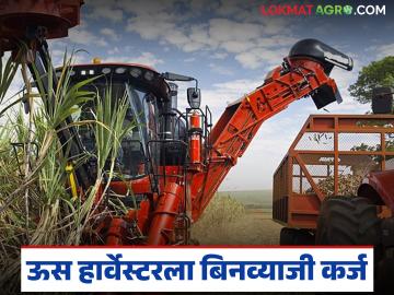 ऊस हार्वेस्टर मशीन खरेदीला 'हा' साखर कारखाना देतोय ३० लाख रुपयांचे बिनव्याजी कर्ज - Marathi News | This sugar factory is giving an interest-free loan of Rs 30 lakh for the purchase of a sugarcane harvester machine | Latest News at Lokmat.com ऊस हार्वेस्टर मशीन खरेदीला 'हा' साखर कारखाना देतोय ३० लाख रुपयांचे बिनव्याजी कर्ज - Marathi News | This sugar factory is giving an interest-free loan of Rs 30 lakh for the purchase of a sugarcane harvester machine | Latest News at Lokmat.com