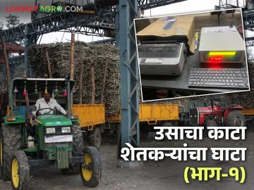 साखर चवदार पण कारखान्यांची काटामारी दमदार; काय आहे प्रकरण? वाचा सविस्तर - Marathi News | Sugar is delicious but the factories sugarcane weight are cutting it; What is the issue? Read in detail | Latest News at Lokmat.com