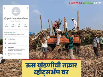 कोल्हापूर साखर सहसंचालकांचा पुढाकार; खुशाली रोखण्यासाठी सुरु केला व्हॉट्सअॅप ग्रुप - Marathi News | Initiative of Kolhapur Sugar Joint Director; WhatsApp group started to prevent additional money for sugarcane harvesting and transport | Latest News at Lokmat.com