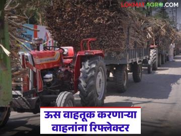 Agriculture News : ऊसतोड वाहतूक करणाऱ्या वाहनांना रिफ्लेक्टर अनिवार्य, काय आहेत नियम  - Marathi News | Latest News Reflectors are mandatory for vehicles transporting sugarcane,see details rules | Latest News at Lokmat.com