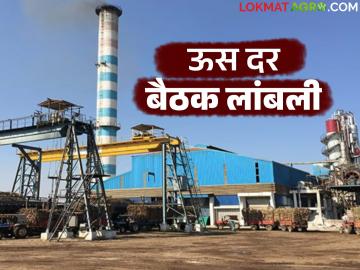 Us Dar Baithak : साखर कारखान्याचे अध्यक्ष व्यस्त; ऊस दराची बैठक लांबणीवर - Marathi News | Us Dar Baithak : Sugar factory chairman busy; sugarcane rate meeting postponed | Latest News at Lokmat.com