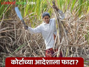 Ustod Mahila Kamgar : कोर्टाच्या आदेशाला फाटा? बीडमध्ये गर्भवती महिलांकडून ऊसतोड सुरूच! - Marathi News | latest news Ustod Mahila Kamgar: Court order violated? Sugarcane cutting by pregnant women continues in Beed! | Latest News at Lokmat.com