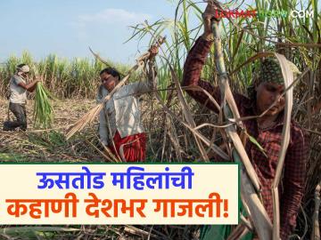 Ustod Mahila Kamgar: बीडच्या ऊसतोड महिलांची वेदना संसदेत; सरकारकडून चौकशी आदेश! - Marathi News | latest news Ustod Mahila Kamgar: Beed women Uterus removal issue raised in Parliament | Latest News at Lokmat.com