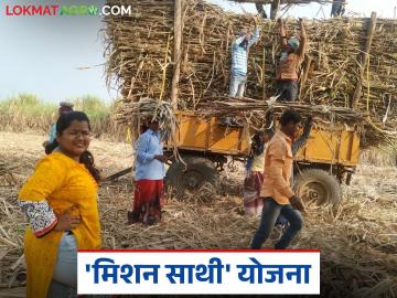 Ustod Mahila Kamgar : ऊसतोड मजुरांच्या आरोग्यासाठी सरकार जागे; 'मिशन साथी' योजनेचा मोठा निर्णय वाचा सविस्तर - Marathi News | latest news Ustod Mahila Kamgar: Government wakes up for the health of sugarcane workers; Read the big decision of 'Mission Saathi' scheme in detail | Latest News at Lokmat.com Ustod Mahila Kamgar : ऊसतोड मजुरांच्या आरोग्यासाठी सरकार जागे; 'मिशन साथी' योजनेचा मोठा निर्णय वाचा सविस्तर - Marathi News | latest news Ustod Mahila Kamgar: Government wakes up for the health of sugarcane workers; Read the big decision of 'Mission Saathi' scheme in detail | Latest News at Lokmat.com