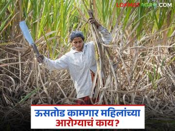Ustod Kamgar Mahila : महाराष्ट्रातील ऊसतोड कामगार महिलांना गर्भपिशवी का काढावी लागतेय? - Marathi News | Latest News Ustod Kagmar Mahila sugarcane women workers in Maharashtra have their wombs removed | Latest News at Lokmat.com Ustod Kamgar Mahila : महाराष्ट्रातील ऊसतोड कामगार महिलांना गर्भपिशवी का काढावी लागतेय? - Marathi News | Latest News Ustod Kagmar Mahila sugarcane women workers in Maharashtra have their wombs removed | Latest News at Lokmat.com
