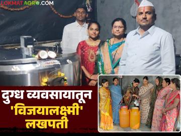 परिस्थितीशी झुंज देत विजयालक्ष्मी यांची दुग्धव्यवसायात भरारी; आता महिन्याकाठी १ लाख रुपयांची कमाई - Marathi News | Vijayalakshmi's dairy business thrives despite the situation; Now earning Rs 1 lakh per month | Latest News at Lokmat.com