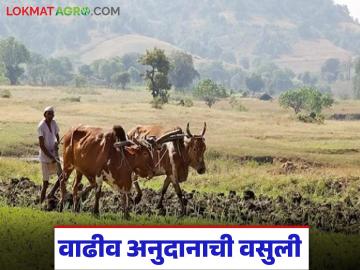 तुमच्याही खात्यावर जास्तीचे अनुदान आले, तर पहिल्यांदा हे काम करा, कारण....  - Marathi News | latest News agriculture News Recovery of excess subsidy from farmers by tahsildar | Latest News at Lokmat.com