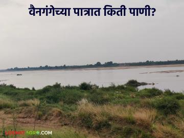 Vainganga River : वैनगंगेच्या पात्रात 15 दिवस पुरणार एवढाच पाणीसाठा, प्रशासनाकडून महत्वाचे आवाहन  - Marathi News | Latest news only enough water in the Wainganga river for 15 days, important appeal from the administration | Latest News at Lokmat.com