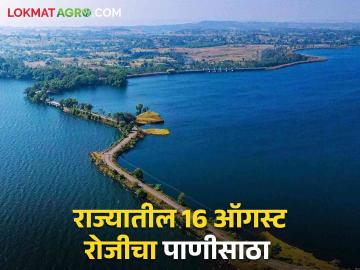Maharashtra Dam Storage : अडीच महिन्यांत राज्यांतील धरणांत किती पाणी आलं? जाणून घ्या सविस्तर  - Marathi News | Latest News How much water storage in maharashtra koyana, jayakwadi, ujani, gangapur dams on 16 august 2024 Know in detail  | Latest News at Lokmat.com