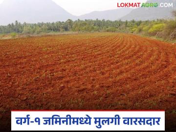 शेतजमिनीपोटी मिळालेल्या भरपाईच्या रकमेत मुलीचाही समान वाटा; उच्च न्यायालयाचा निर्णय - Marathi News | Daughter also gets equal share in compensation amount received for agricultural land; High Court decision | Latest News at Lokmat.com