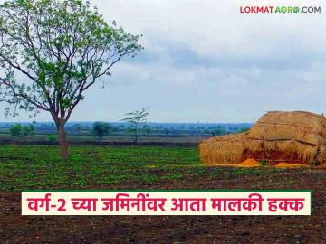 कब्जेहक्काने किंवा भाडेपट्ट्याने दिलेल्या भोगवटादार वर्ग-२ जमिनी आता मालकीच्या होणार; कसा होणार फायदा? - Marathi News | Occupiers of Class-2 agri lands given on possession or lease will now be owned; how will they benefit? | Latest News at Lokmat.com कब्जेहक्काने किंवा भाडेपट्ट्याने दिलेल्या भोगवटादार वर्ग-२ जमिनी आता मालकीच्या होणार; कसा होणार फायदा? - Marathi News | Occupiers of Class-2 agri lands given on possession or lease will now be owned; how will they benefit? | Latest News at Lokmat.com