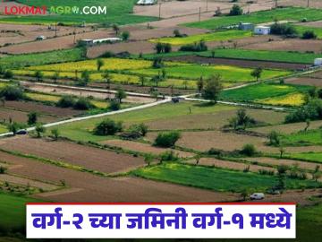 पुनर्वसन जमिनींचे वर्ग-२ मधून वर्ग-१ मध्ये रूपांतर; तहसीलदारांनी सुरु केला 'हा' नवा उपक्रम - Marathi News | Conversion of rehabilitation lands from Class-2 to Class-1; Tehsildars started 'this' new initiative | Latest News at Lokmat.com