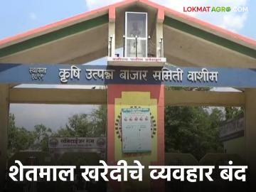 Market committee : दिवाळी सुट्टी जाहीर : बाजार समित्यांमधील शेतमाल लिलाव राहणार आठवडाभर बंद - Marathi News | Market committee : Market Committees Announced Diwali holiday | Latest News at Lokmat.com