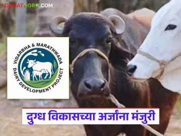 दुग्ध विकास योजना : अर्ज मंजुरी सुरू; तुमचा अर्ज मंजूर झाला कि नाही, जिल्हानिहाय लाभार्थी यादी पहा - Marathi News | Latest news Milk Development Scheme Application approval started Check district-wise beneficiary list | Latest News at Lokmat.com दुग्ध विकास योजना : अर्ज मंजुरी सुरू; तुमचा अर्ज मंजूर झाला कि नाही, जिल्हानिहाय लाभार्थी यादी पहा - Marathi News | Latest news Milk Development Scheme Application approval started Check district-wise beneficiary list | Latest News at Lokmat.com