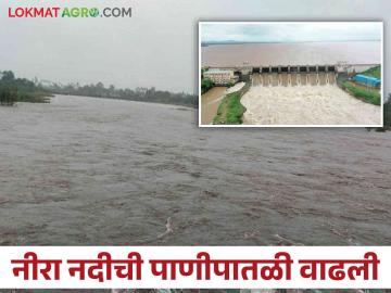 Veer Dam Water : वीर धरणाच्या नऊ सांडव्यांतून विक्रमी ७१ हजार ३४९ क्युसेक विसर्ग - Marathi News | Veer Dam Water: Record discharge of 71 thousand 349 cusecs from nine doors of Veer Dam | Latest News at Lokmat.com