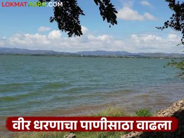 नीरा खोऱ्यात पावसाचा जोर वाढला; हे धरण ५० टक्के भरले - Marathi News | Rainfall in Nira Valley increased; this dam filled to 50 percent | Latest News at Lokmat.com