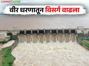 नीरा खोऱ्यात मुसळधार पाऊस 'वीर' धरणातून विसर्ग वाढवला; नीरा नदीकाठी सतर्कतेचा इशारा - Marathi News | Heavy rains in Nira valley increase discharge from 'Veer' dam; Alert issued along Nira river | Latest News at Lokmat.com
