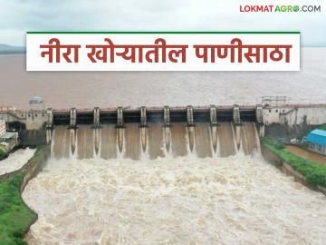 नीरा खोऱ्यातील चारही धरणांत पाण्याची मोठी आवक; वीर धरण लवकरच ओव्हरफ्लो - Marathi News | Large inflow of water in all four dams in Nira Valley; Veer Dam will overflow soon | Latest News at Lokmat.com